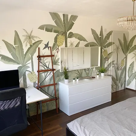 Beautiful Spacious Center Flat With Parking Option * גראץ